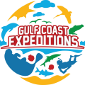 Gulf Coast Expeditions